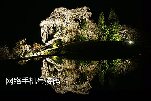 用什么接码能收美国电话短信