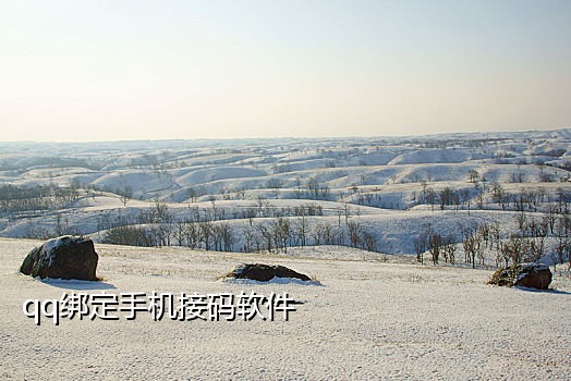 英国虚拟手机号接验证码