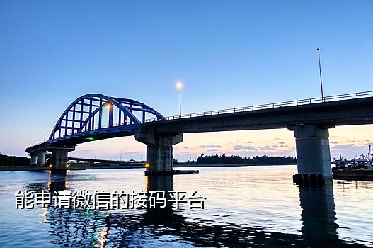 易码短信接码下载