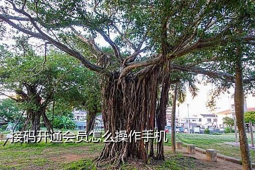 亚马逊开店接验证码