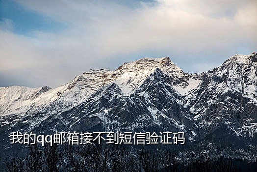 亚马逊谷歌接码器是什么