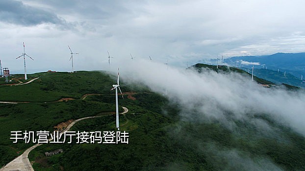 虚拟手机号码接码软件