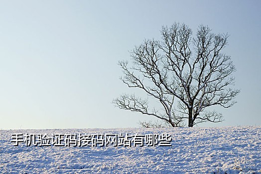 信和接码苹果版下载