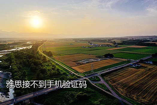 小米手机接码是什么意思
