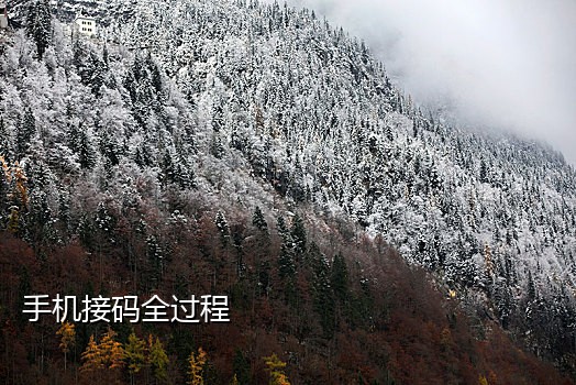 小米手机号接验证码