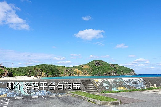 小白接码手机端app