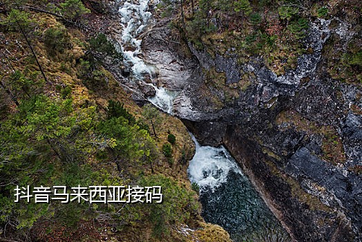 苹果手机能用的接码平台