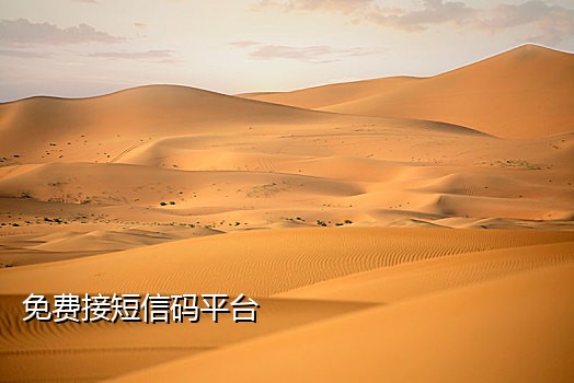 微信注册接码网站