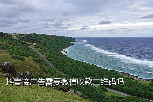 微信登录接码