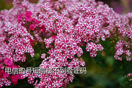 微博接码啥意思