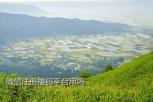 网易云短信接码怎么用