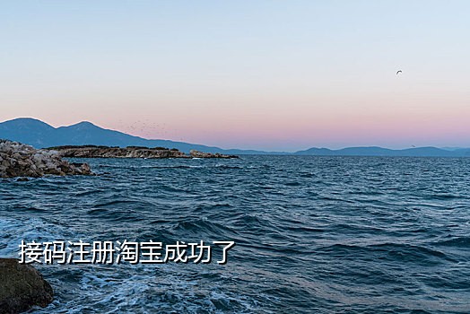 网上买手机接注册码被抓