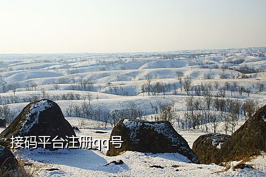 淘宝账号注册 接码