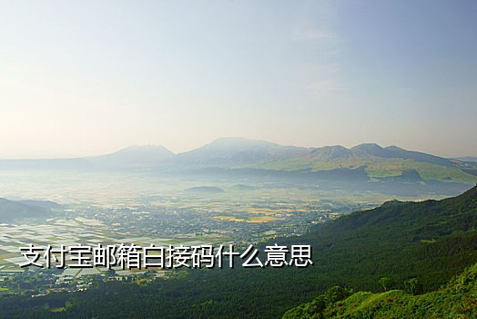 四方接码怎么用手机操作