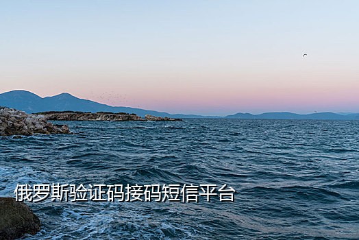 手机语音验证码接码平台