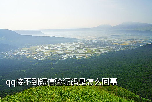手机上怎么接码