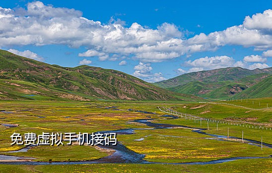 手机接验证码平台