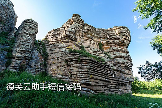 手机接码违法