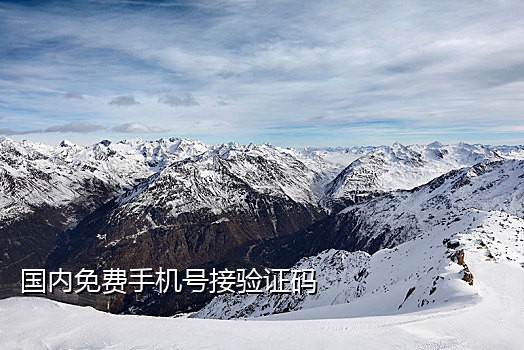手机接码平台是什么意思呀