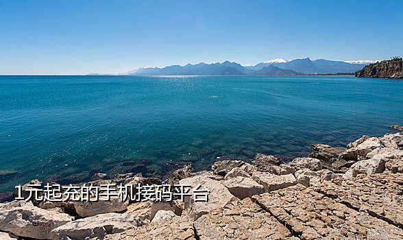 手机接码平台哪个好用吗