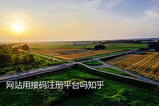 手机接码平台界面截图