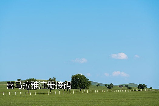 手机接码单量业务