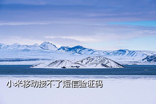 手机号在国外怎么接验证码