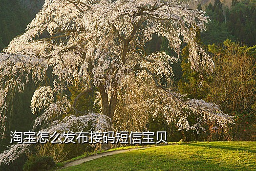 手机号码租用可接码