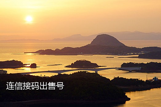 手机短信在线接码