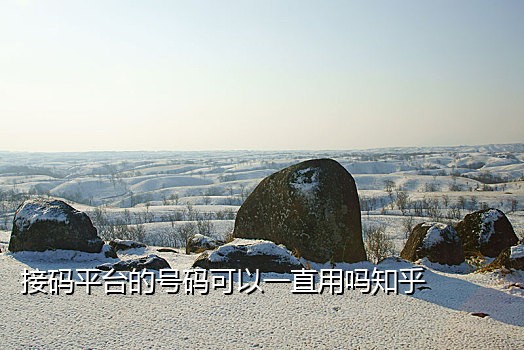 拼多多接码系统开发