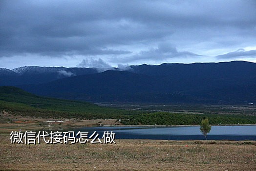 手机短信验证码接码平台