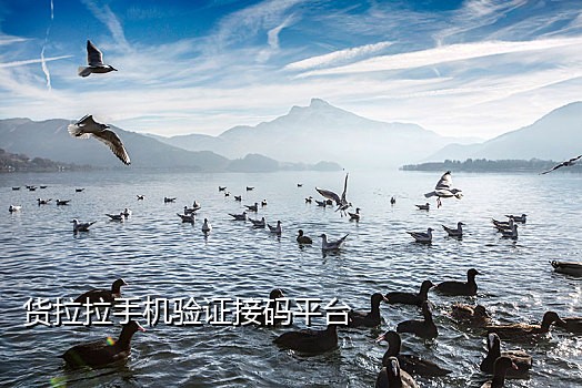 手机短信验证接码平台mct