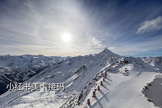 手机短信接码器安卓破解版