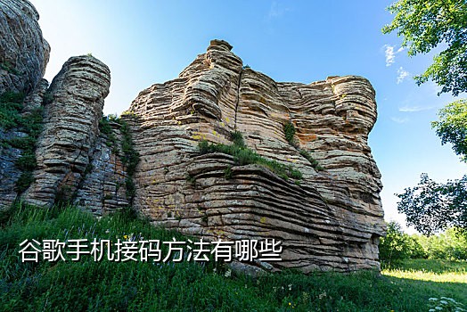 手机店拉新接码