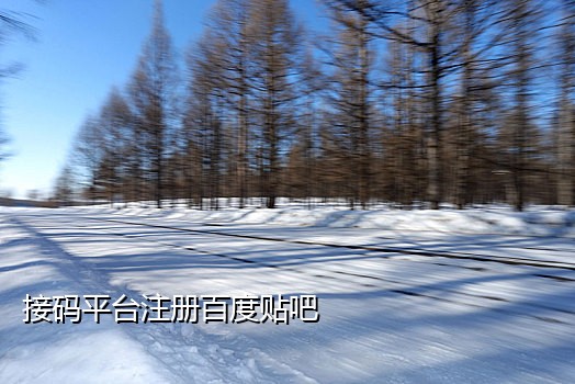收短信接码