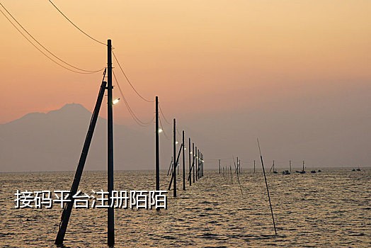 神码接码新网站
