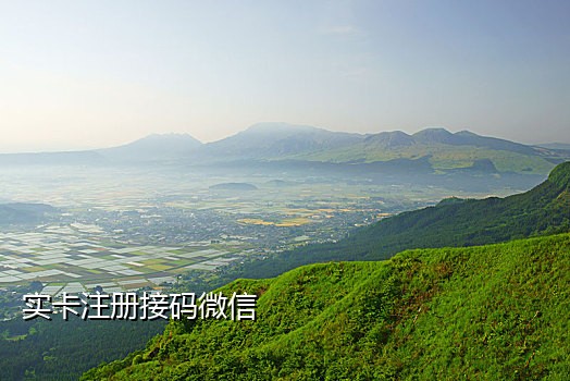 苹果邮政登录接不到验证码