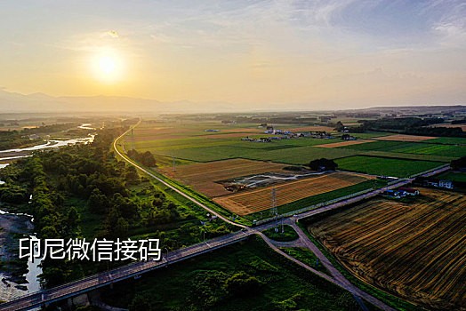 苹果接码是干什么的