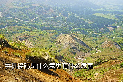 能做快手极速版的接码平台