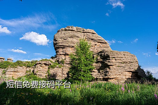 胖米手机接验证码安全吗