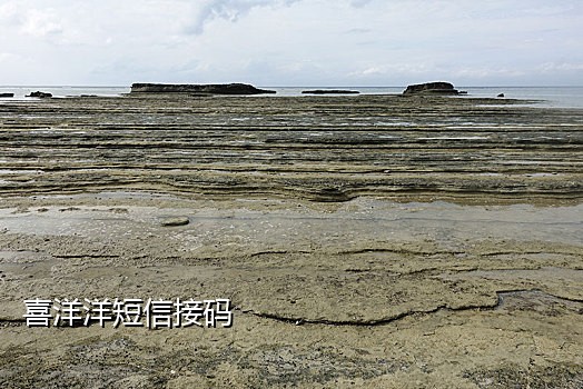 陌陌接码渠道在哪看