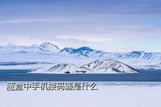 陌陌接码客户端在哪里打开