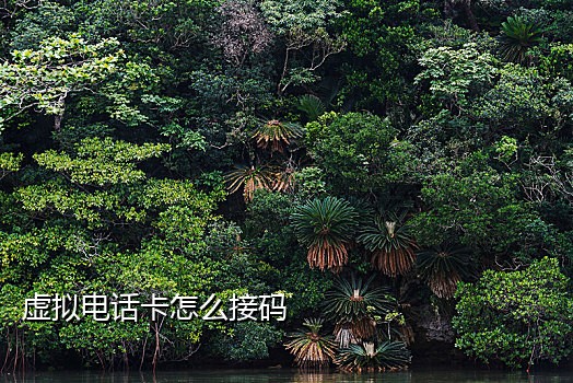 蜜獾短信接码