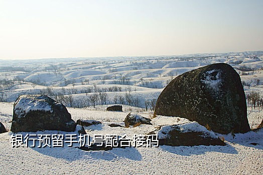 那个接码平台能发短信