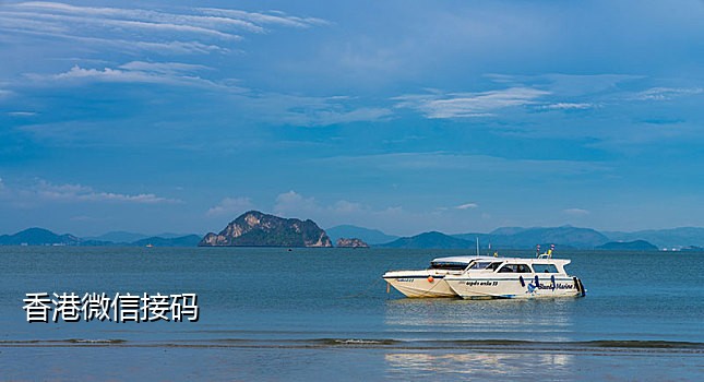 美国接短信验证码