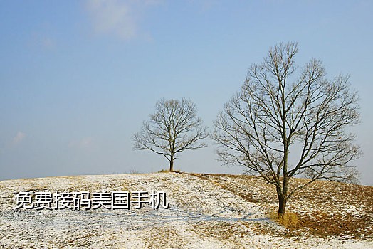 美国短信接码平台
