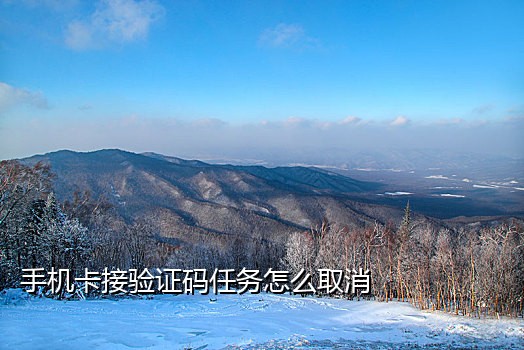 流星接码手机端怎么登录