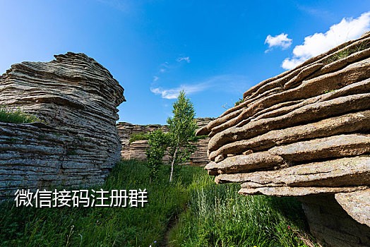 联通手机号接验证码兼职