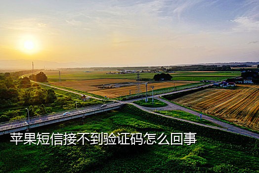 快手新号接码技巧