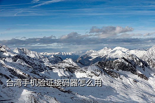 可以接抖音验证码的网站